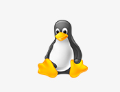linux服务器开发